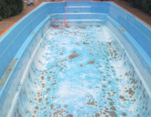 Piscine en fibre de verre